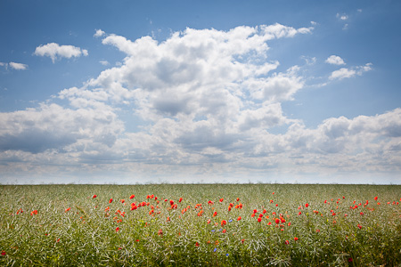 Bei Bastorf, Mecklenburg-Vorpommern, 2012