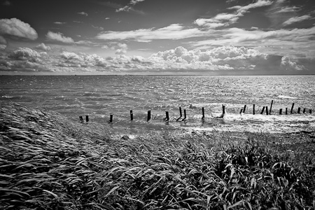 Bei Ahrenshoop, Mecklenburg-Vorpommern, 2012